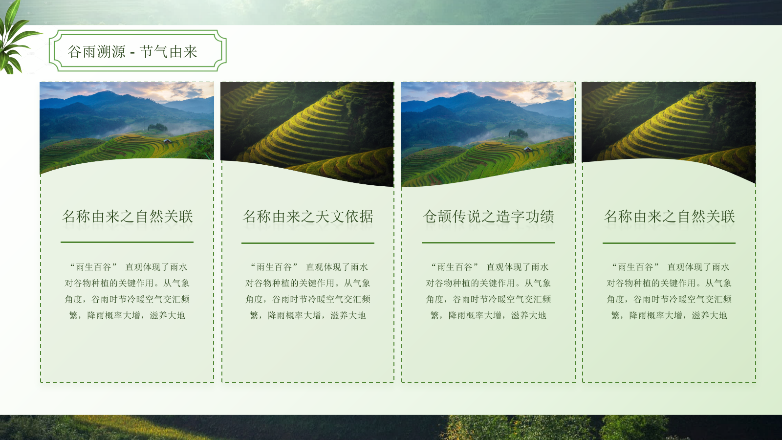 绿色谷雨二十四节气ppt模板.pptx_第4页