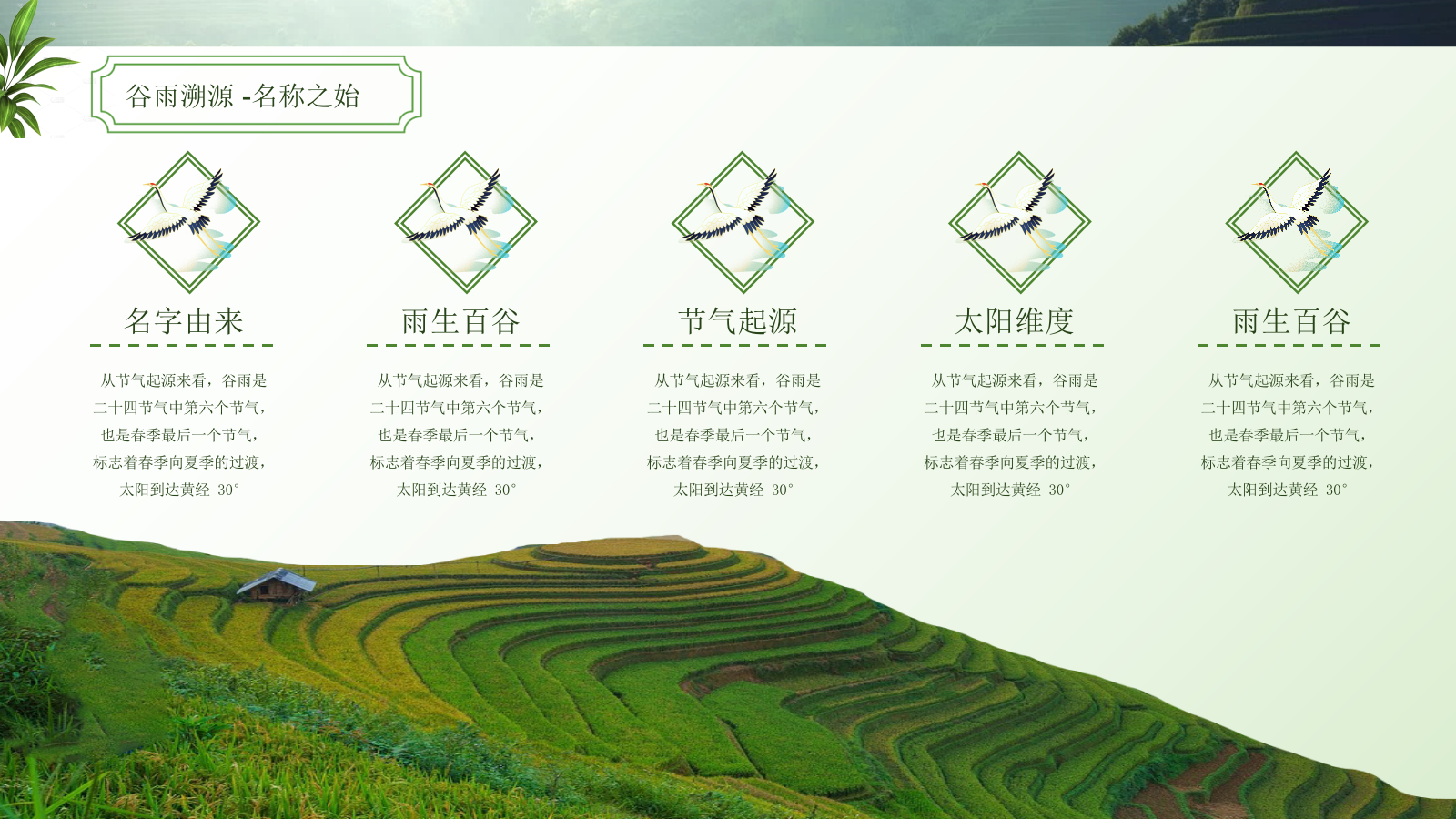 绿色谷雨二十四节气ppt模板.pptx_第5页