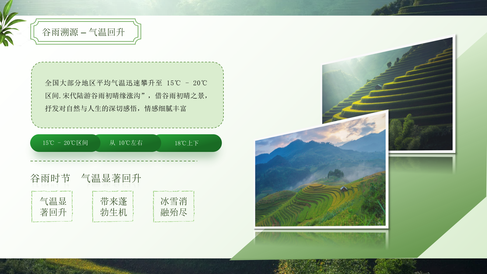 绿色谷雨二十四节气ppt模板.pptx_第8页