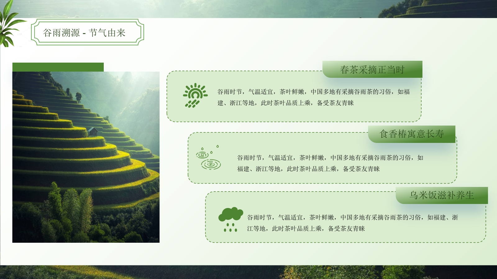 绿色谷雨二十四节气ppt模板.pptx_第9页