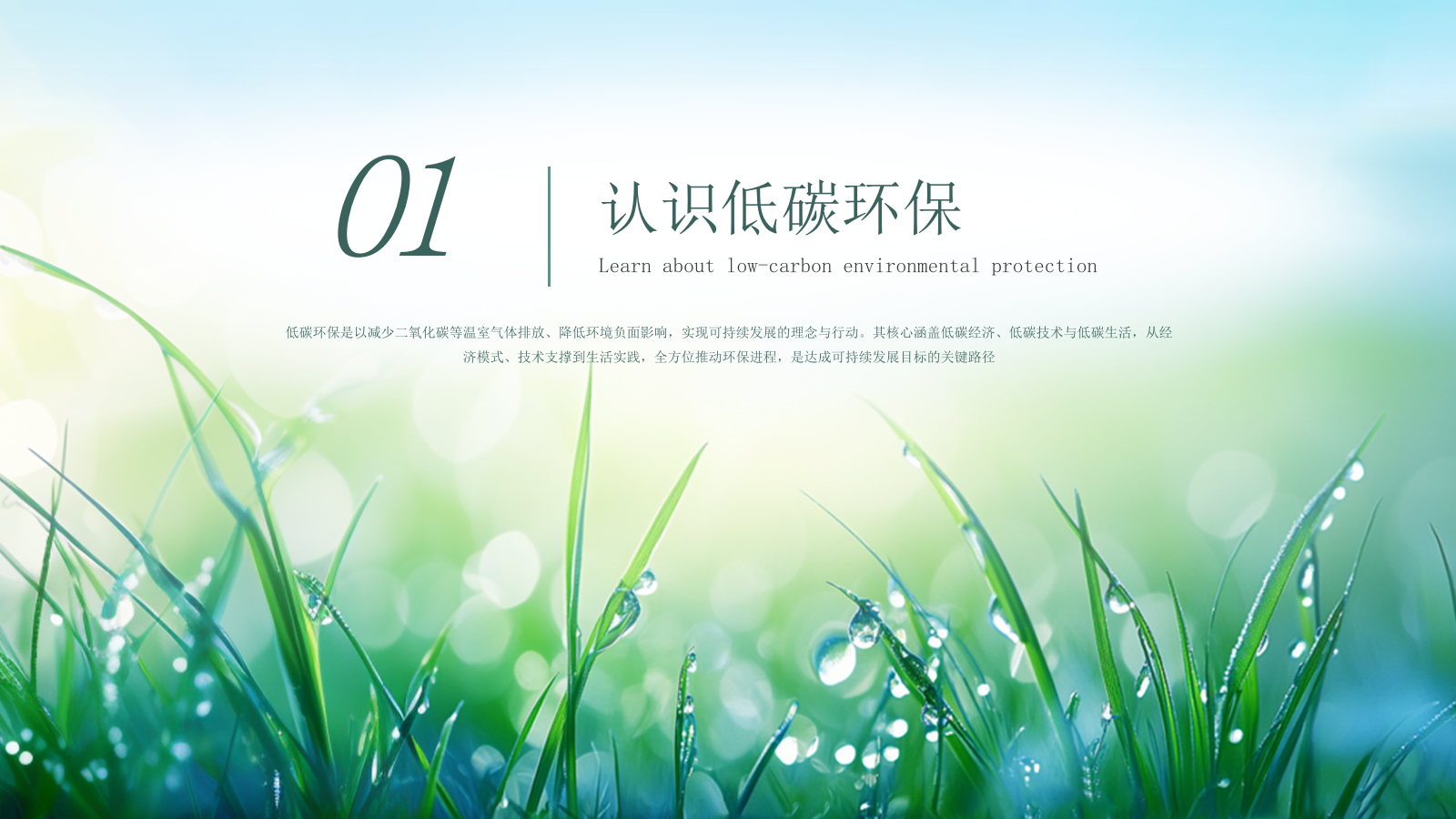 绿色简约低碳环保工作总结通用PPT模板.pptx_第3页