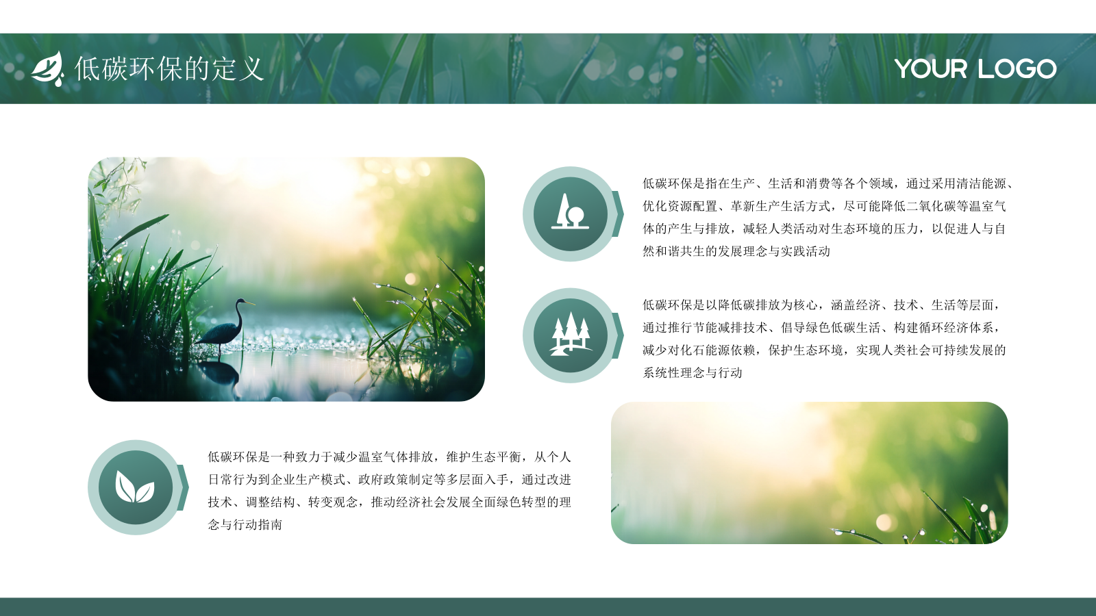 绿色简约低碳环保工作总结通用PPT模板.pptx_第4页