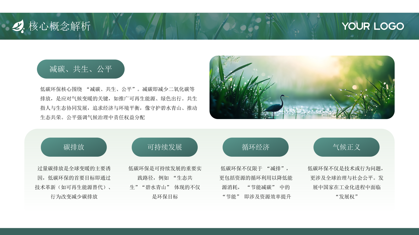 绿色简约低碳环保工作总结通用PPT模板.pptx_第5页