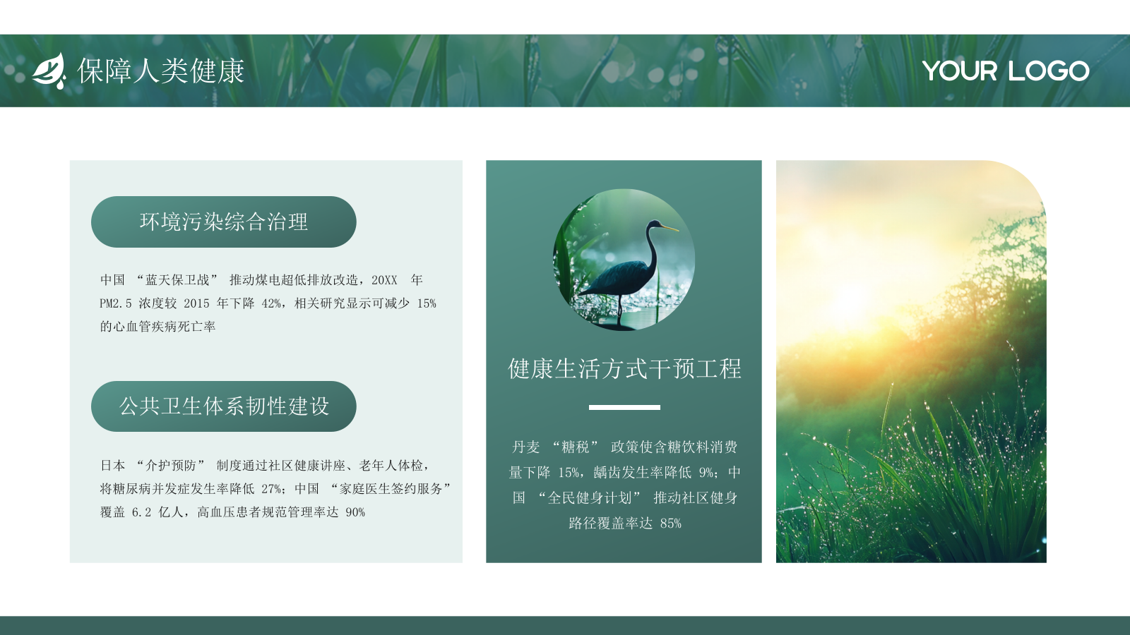 绿色简约低碳环保工作总结通用PPT模板.pptx_第8页