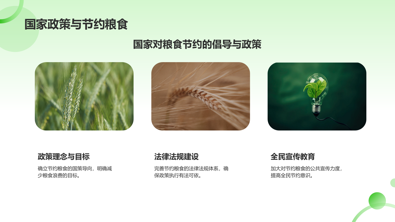 绿色简约风节约粮食PPT模板.pptx_第5页