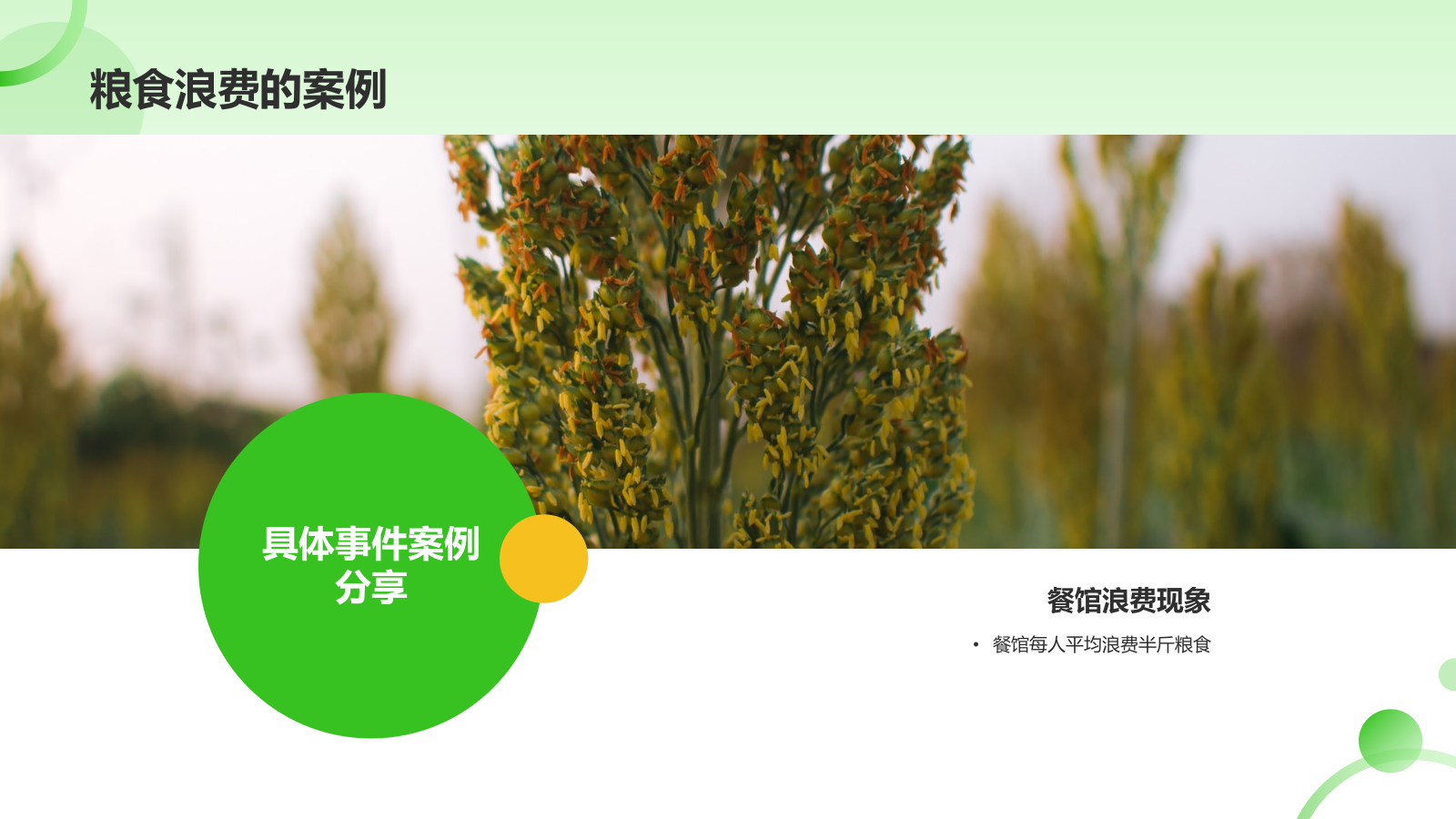 绿色简约风节约粮食PPT模板.pptx_第9页