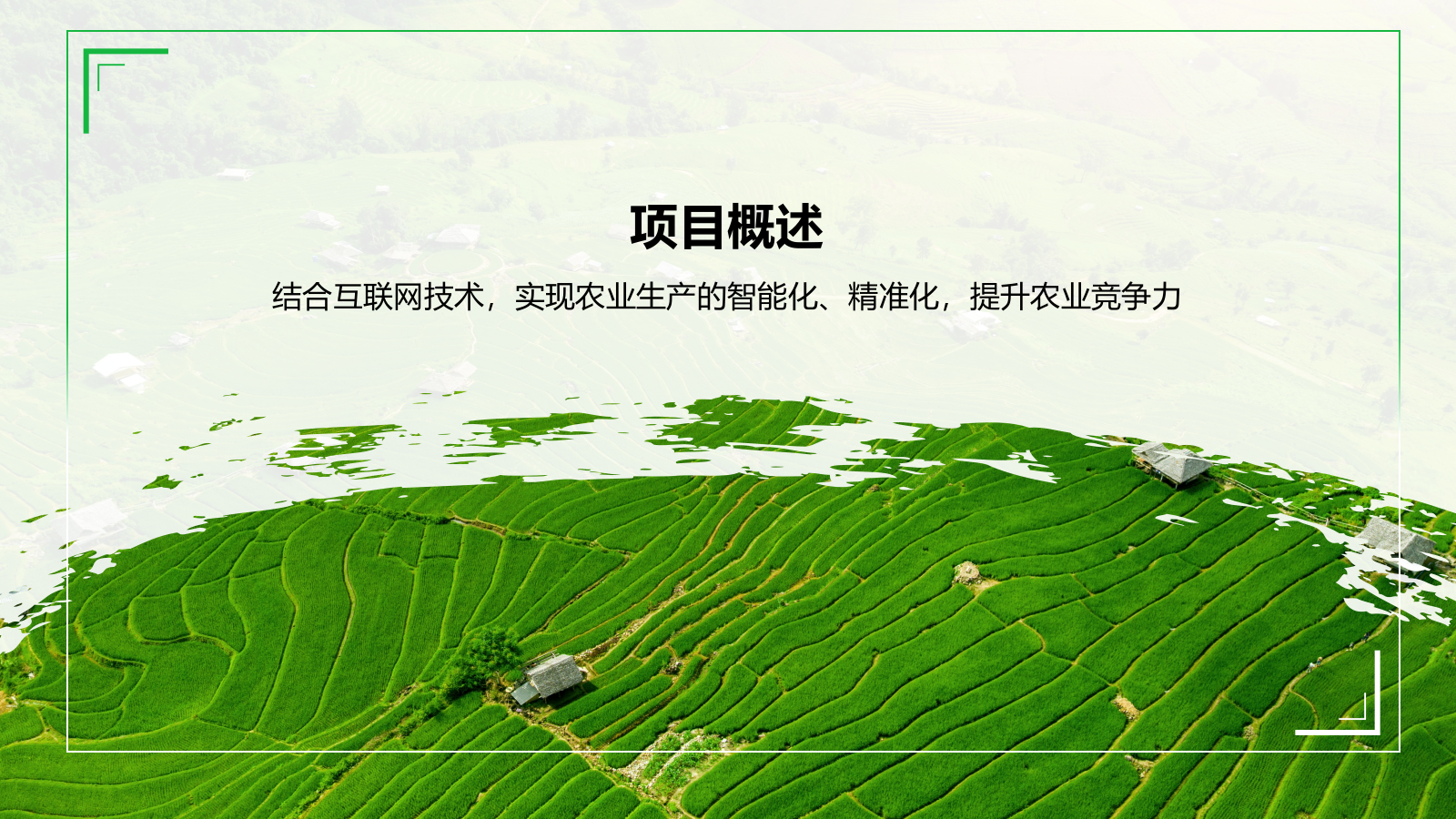 绿色商务风互联网＋现代农业PPT模板.pptx_第3页