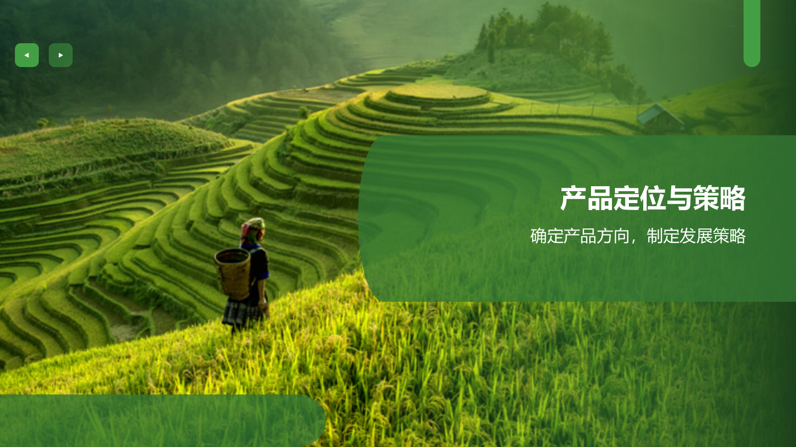 绿色商务风农业商业计划书PPT模板.pptx_第8页