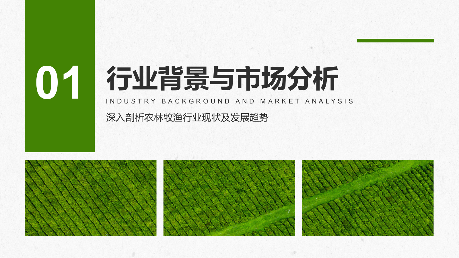 绿色商务风智慧农业创业计划书PPT模板.pptx_第3页