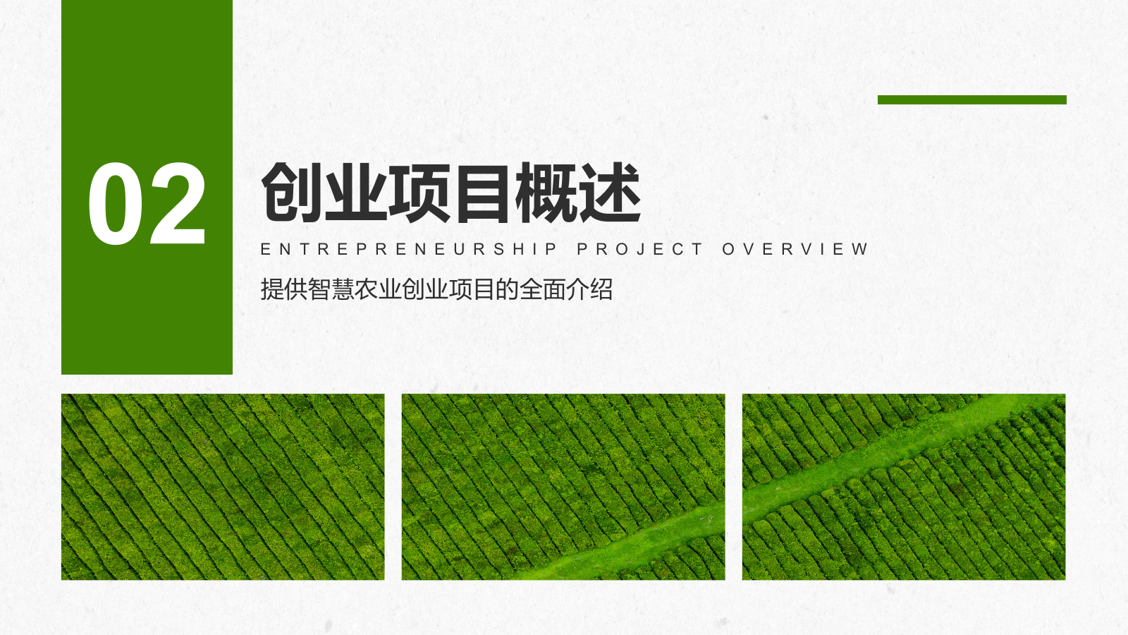 绿色商务风智慧农业创业计划书PPT模板.pptx_第7页