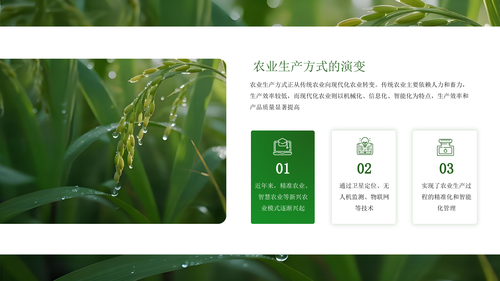 绿色商务农业发展通用PPT模板.pptx_第10页