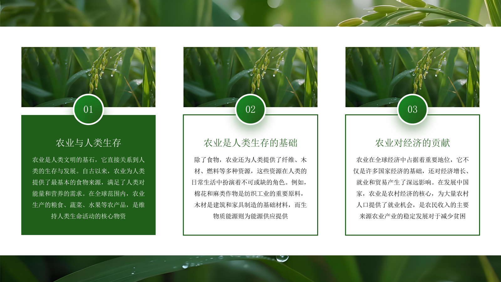 绿色商务农业发展通用PPT模板.pptx_第4页