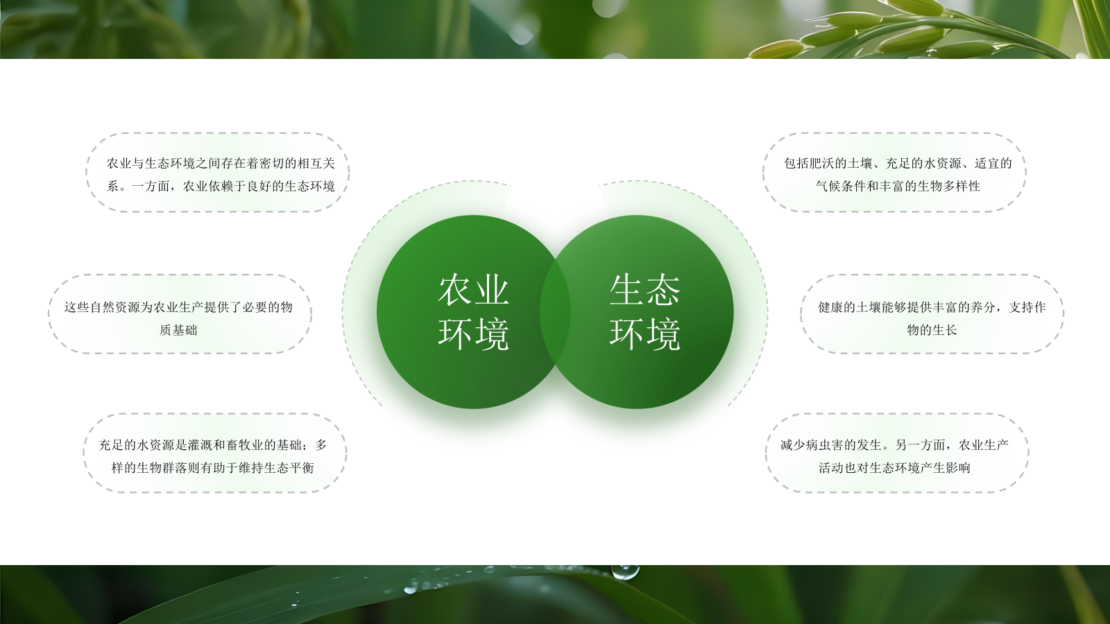 绿色商务农业发展通用PPT模板.pptx_第5页