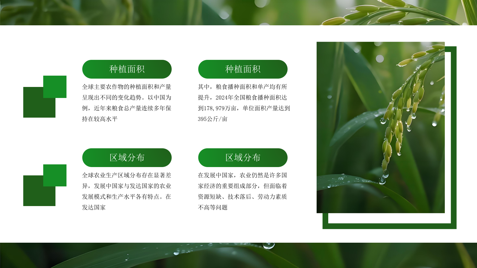 绿色商务农业发展通用PPT模板.pptx_第9页