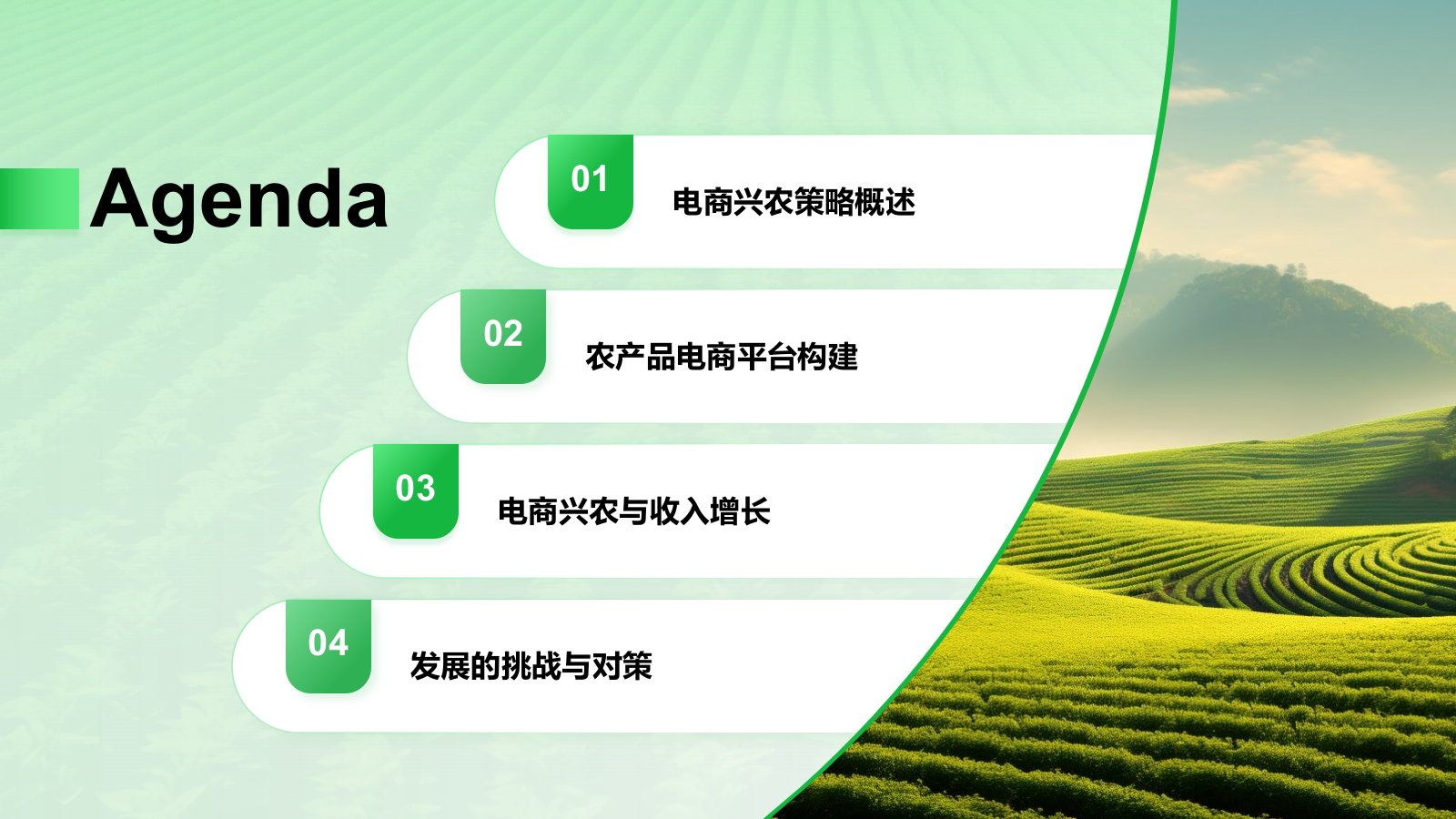 绿色摄影风电商兴农PPT模板.pptx_第2页