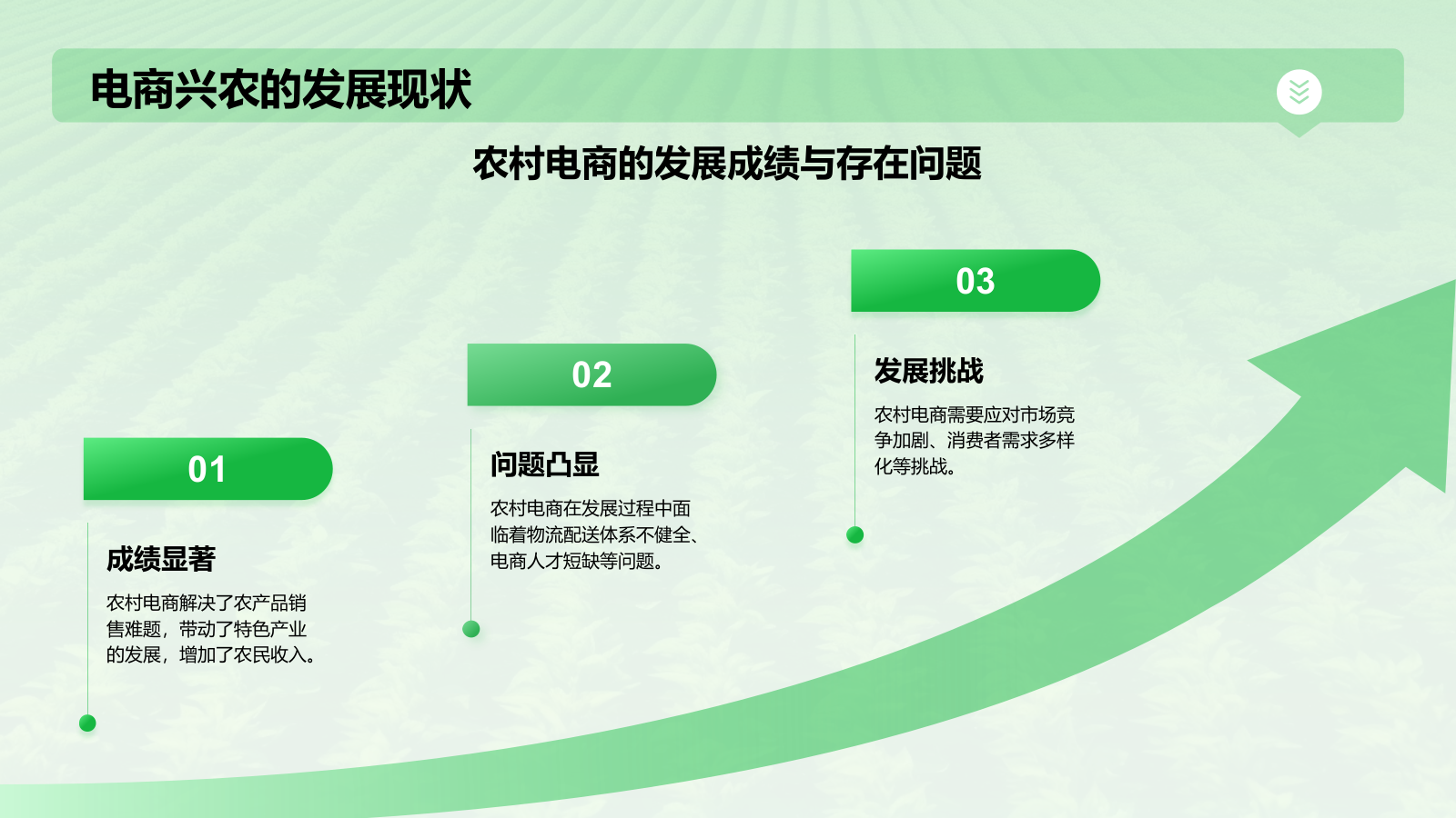 绿色摄影风电商兴农PPT模板.pptx_第6页