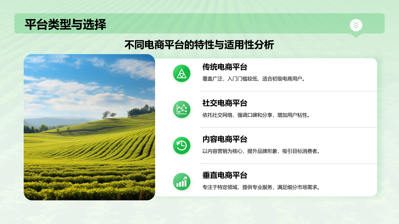 绿色摄影风电商兴农PPT模板.pptx_第8页