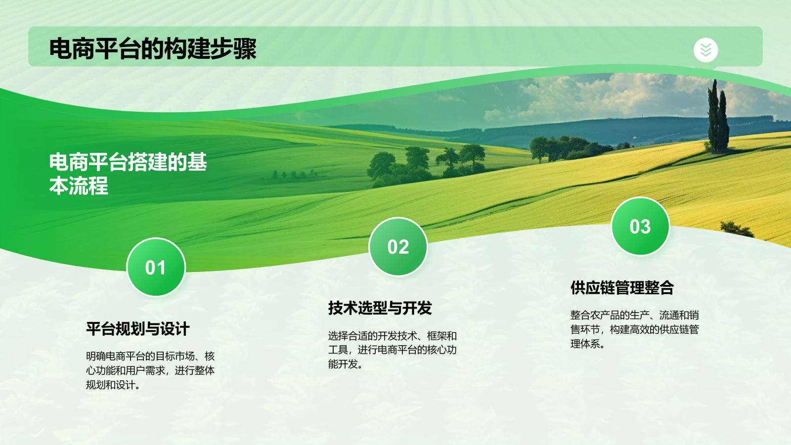 绿色摄影风电商兴农PPT模板.pptx_第9页