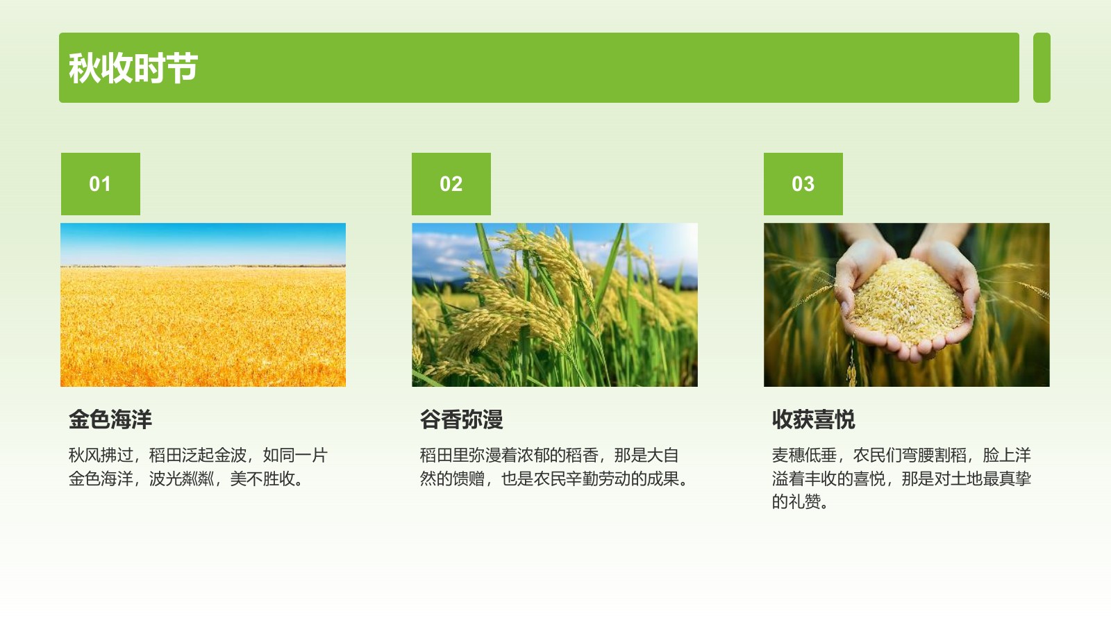 绿色摄影风山水田园梦：家乡旅游印象集PPT模板.pptx_第5页