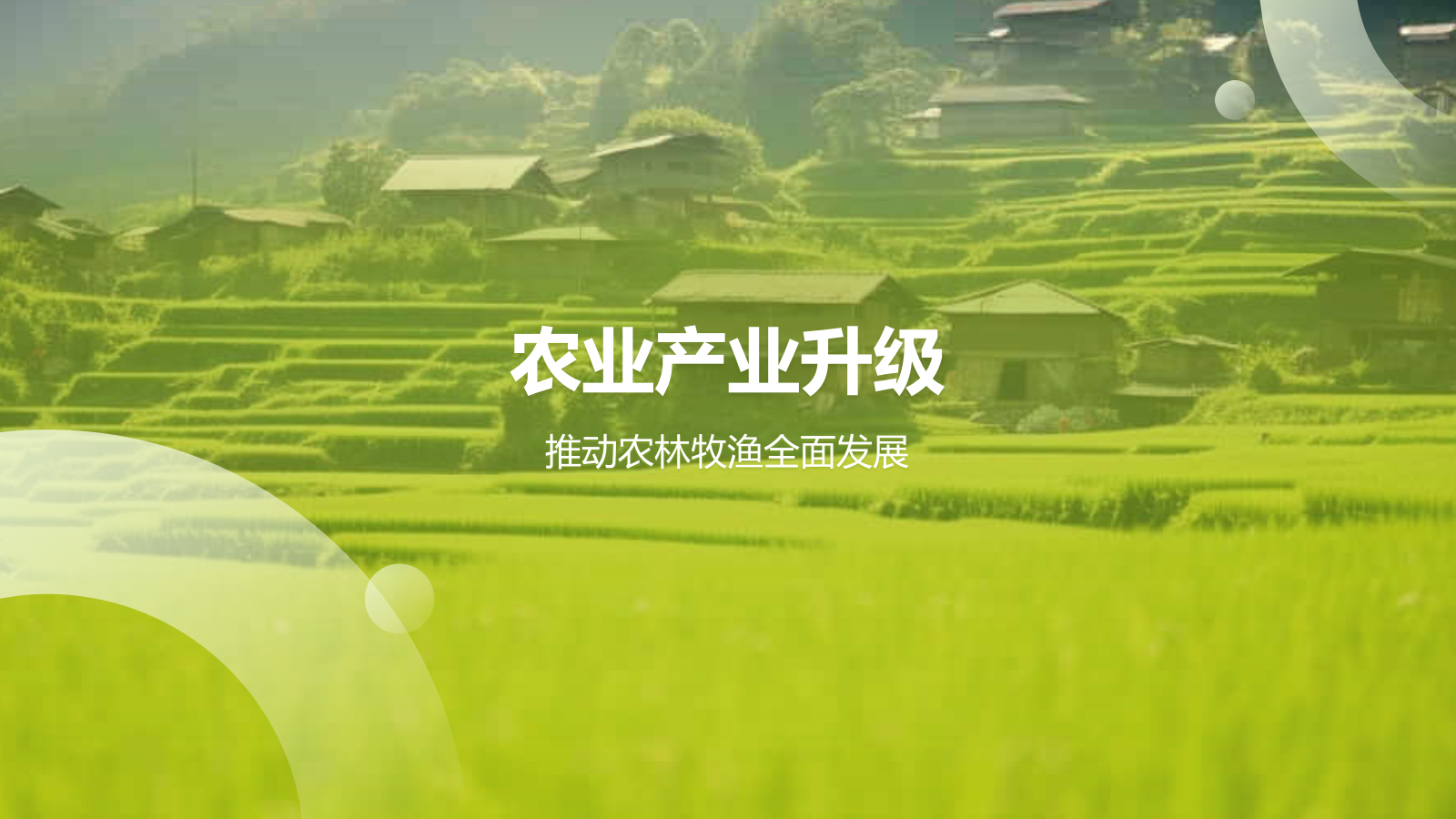 绿色摄影风乡村振兴PPT模板.pptx_第3页