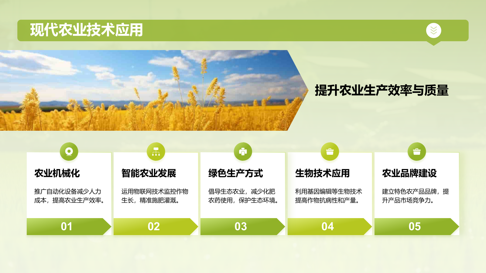 绿色摄影风乡村振兴PPT模板.pptx_第4页