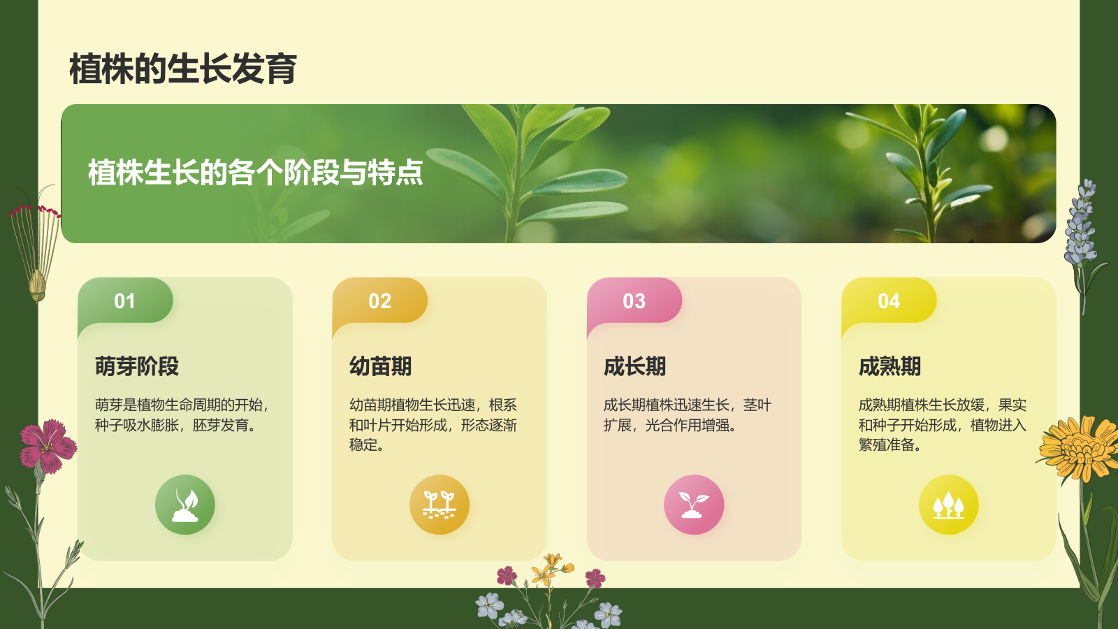 绿色手绘风植物学基础PPT模板.pptx_第10页