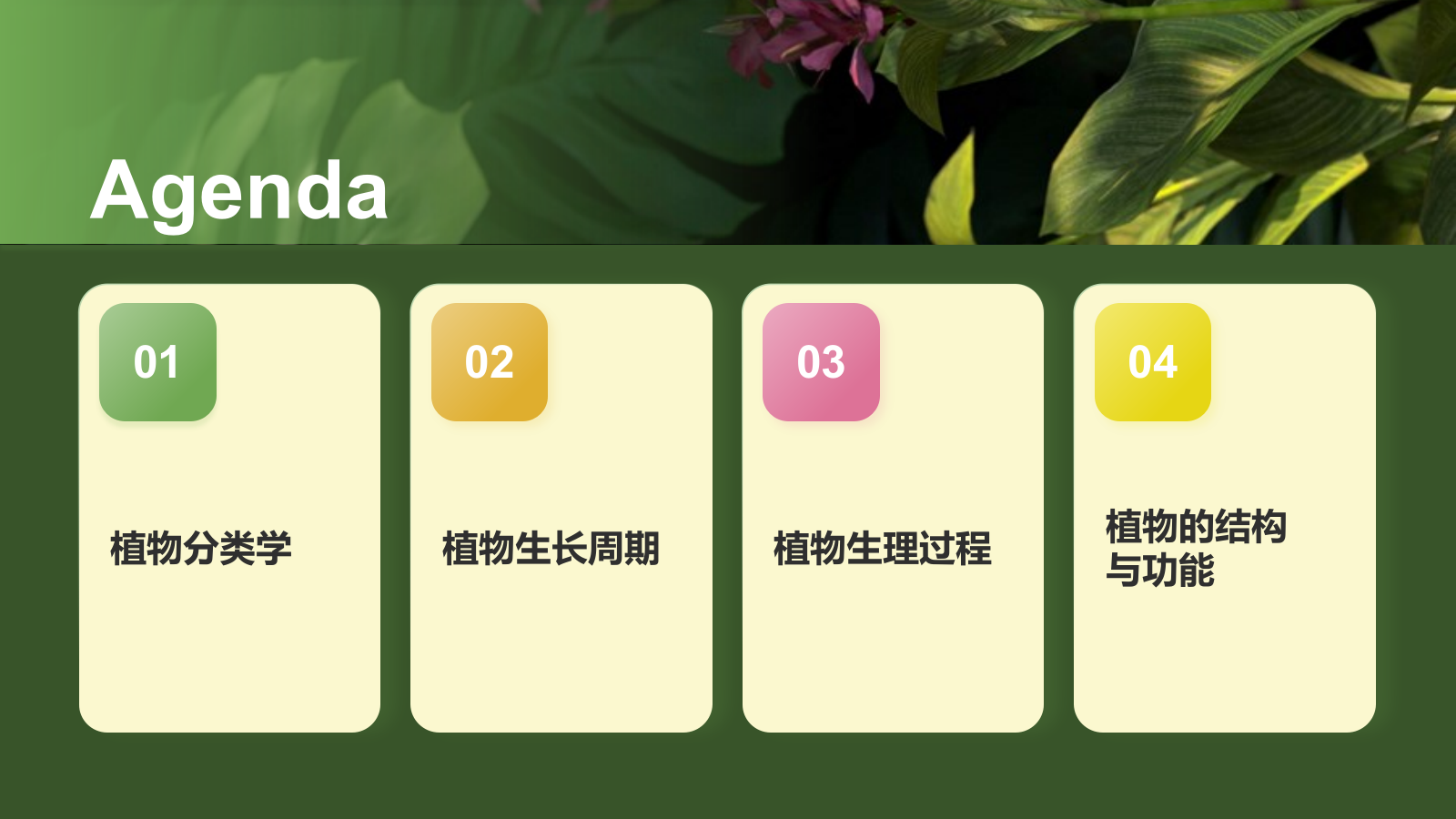 绿色手绘风植物学基础PPT模板.pptx_第2页