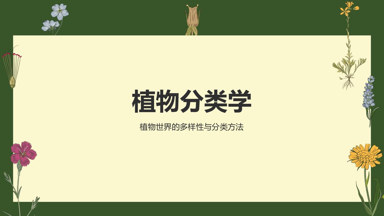 绿色手绘风植物学基础PPT模板.pptx_第3页