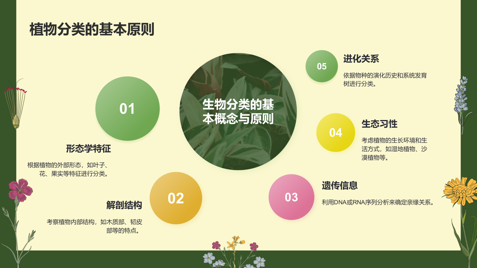 绿色手绘风植物学基础PPT模板.pptx_第4页