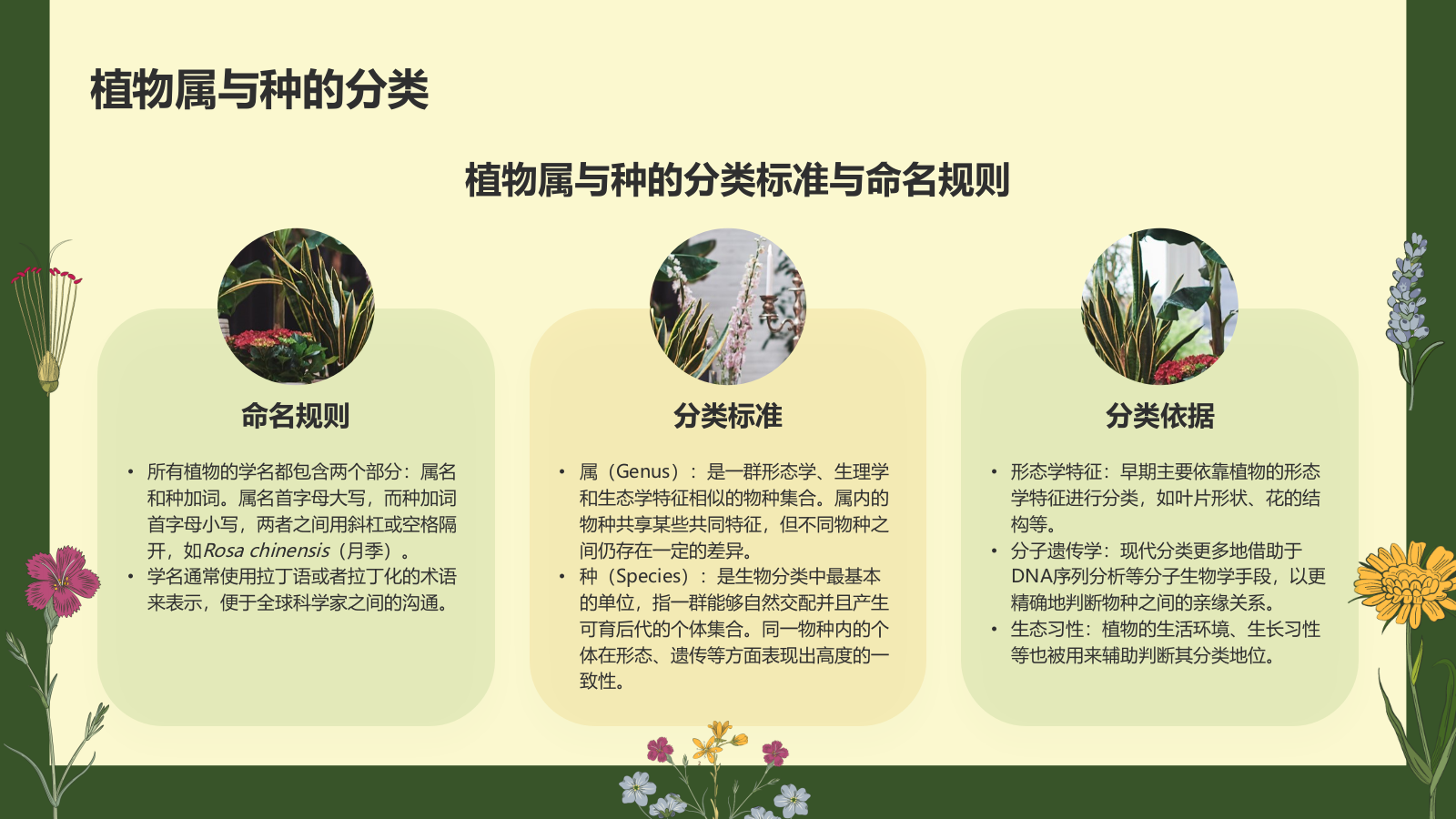 绿色手绘风植物学基础PPT模板.pptx_第7页