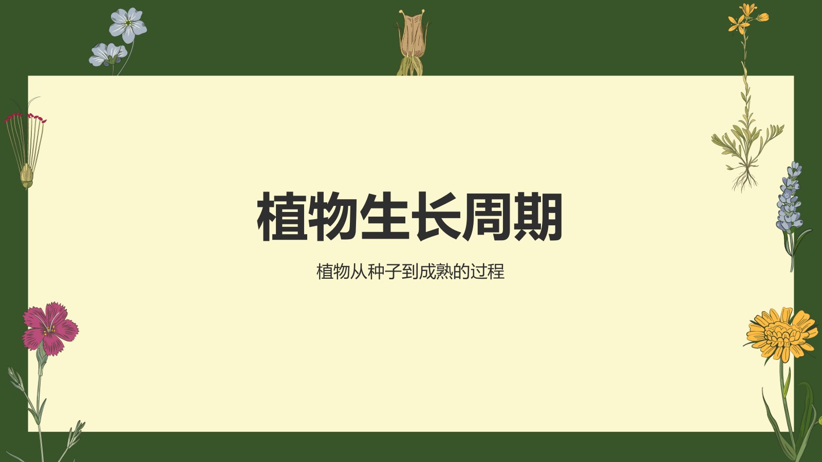 绿色手绘风植物学基础PPT模板.pptx_第8页