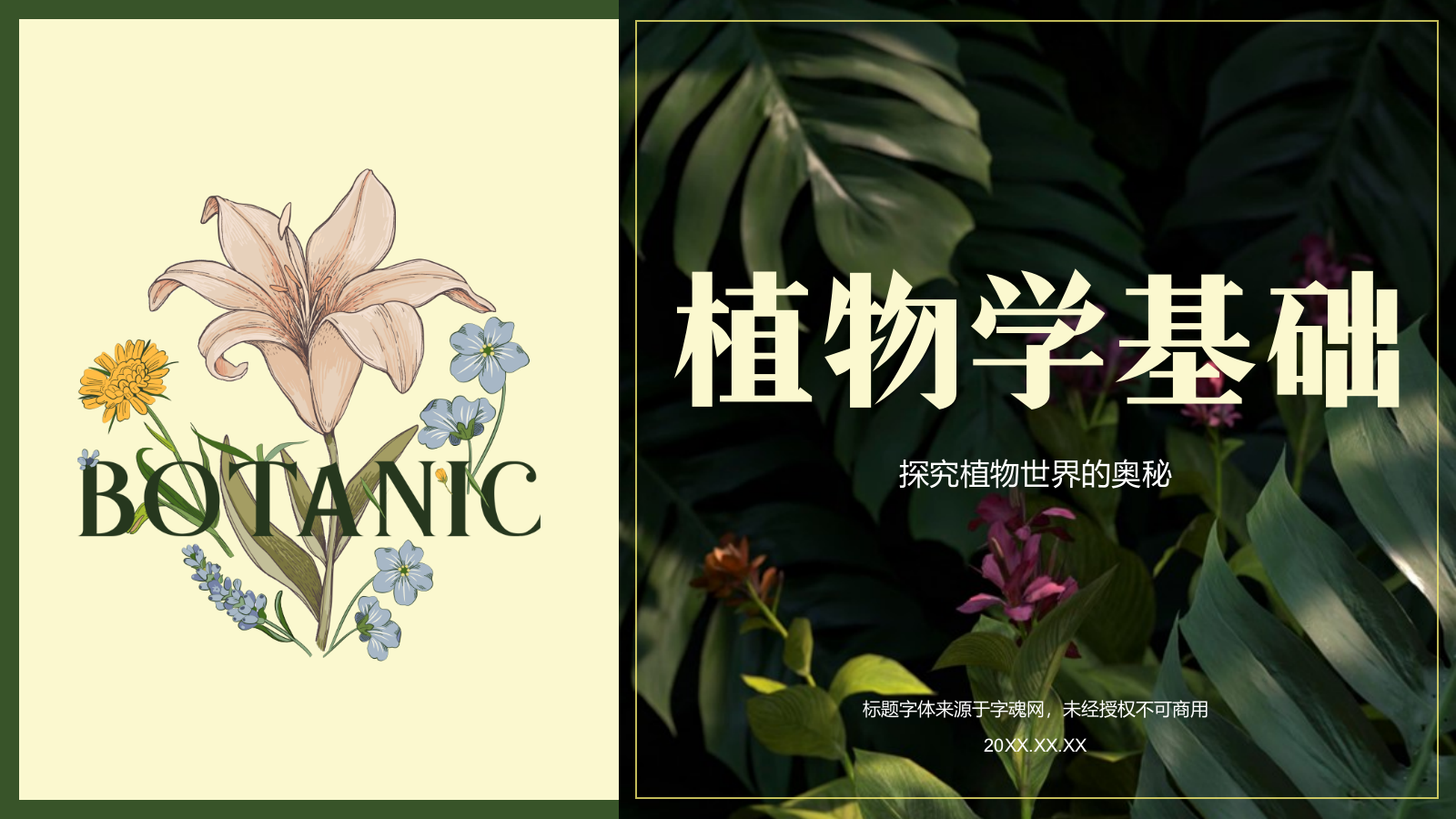 绿色手绘风植物学基础PPT模板.pptx