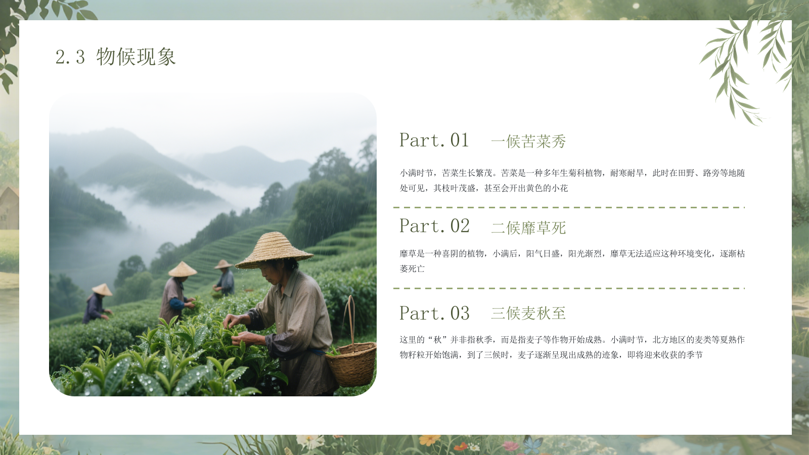 绿色手绘中国传统二十四节气之小满课件PPT模板.pptx_第10页