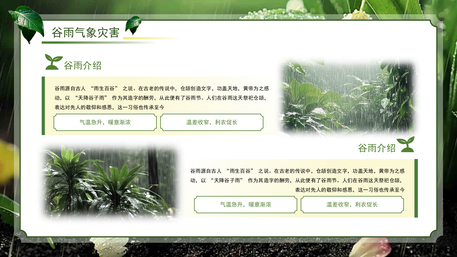 绿色系传统文化二十四节气谷雨主题PPT模板.pptx_第10页