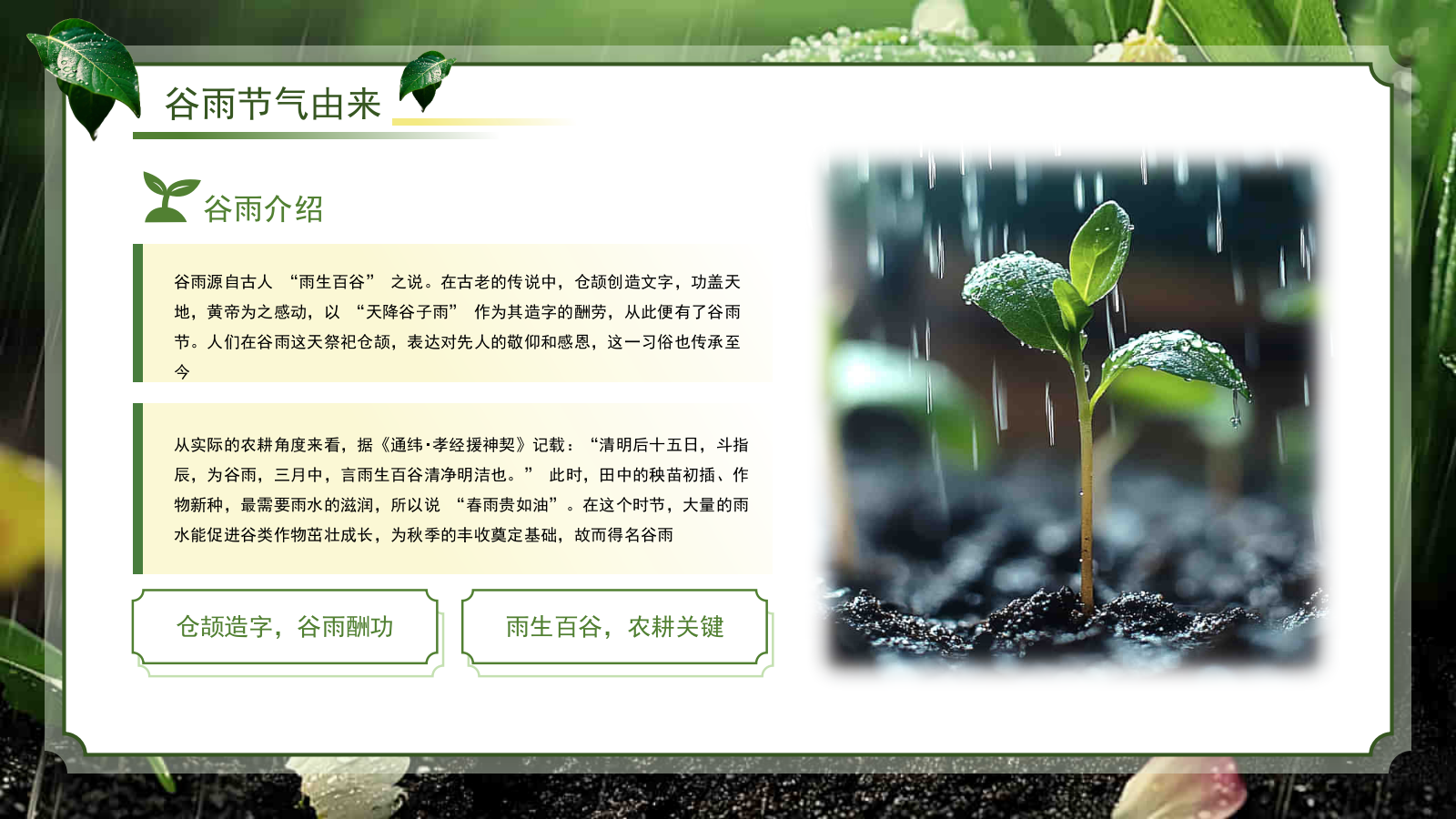绿色系传统文化二十四节气谷雨主题PPT模板.pptx_第4页
