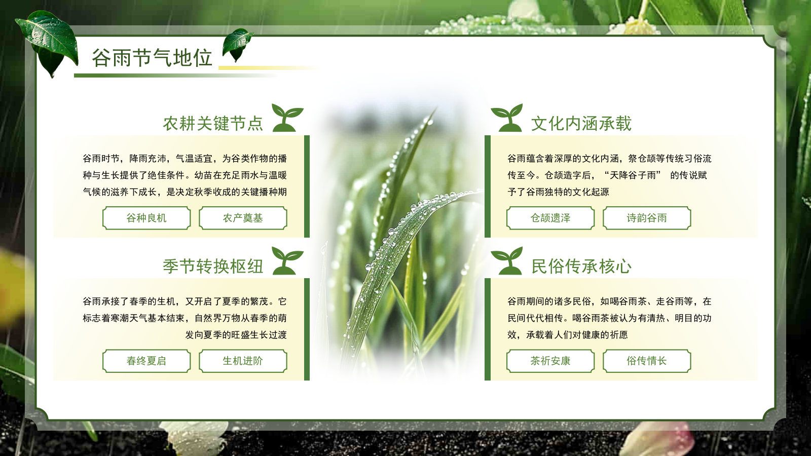 绿色系传统文化二十四节气谷雨主题PPT模板.pptx_第6页