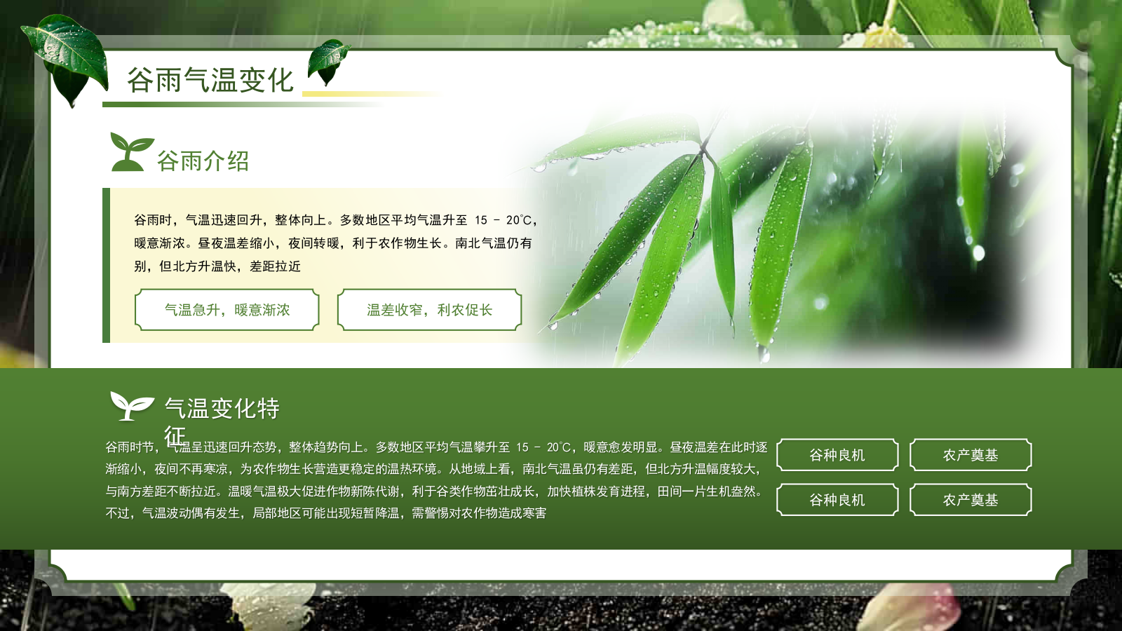 绿色系传统文化二十四节气谷雨主题PPT模板.pptx_第9页