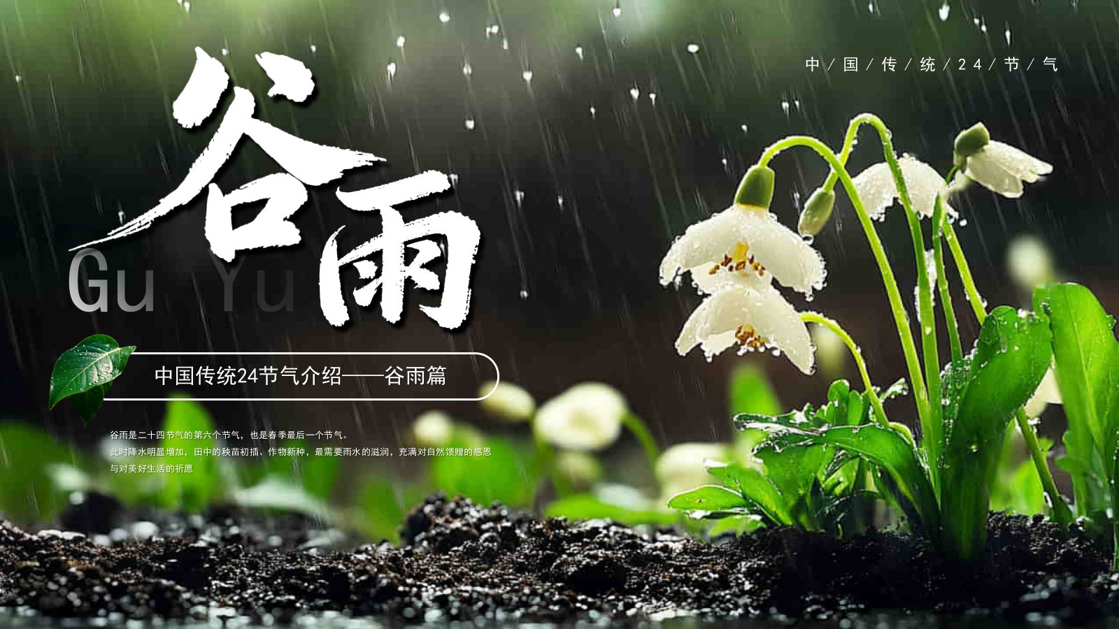 绿色系传统文化二十四节气谷雨主题PPT模板.pptx