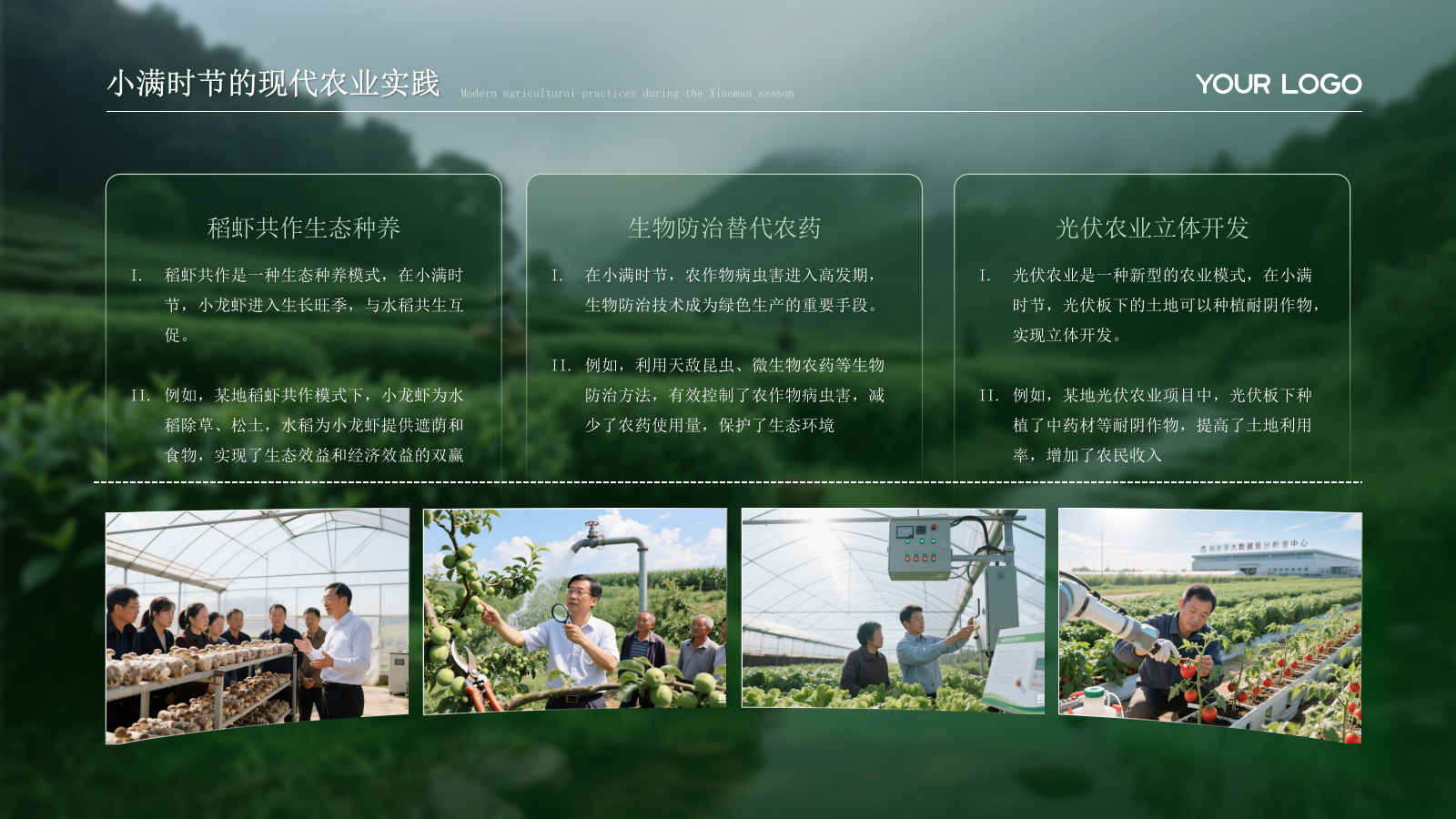 绿色小满节气的农业文化内涵PPT模板.pptx_第10页