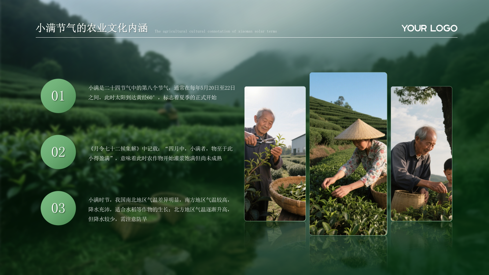 绿色小满节气的农业文化内涵PPT模板.pptx_第4页