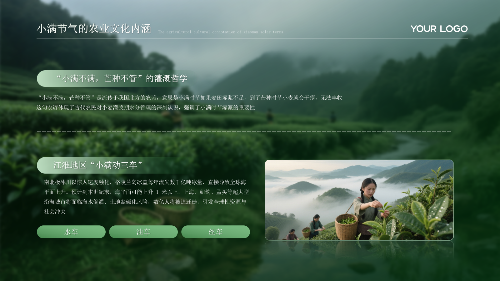 绿色小满节气的农业文化内涵PPT模板.pptx_第5页