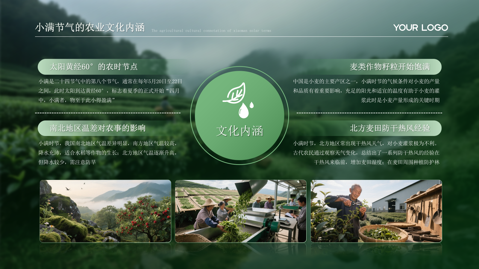 绿色小满节气的农业文化内涵PPT模板.pptx_第6页