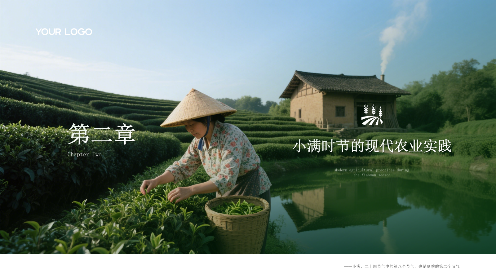 绿色小满节气的农业文化内涵PPT模板.pptx_第7页