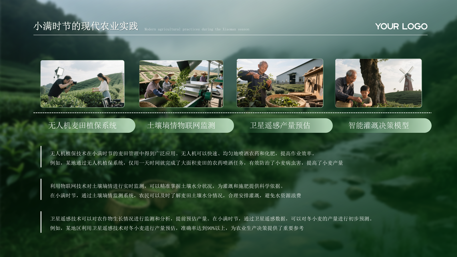 绿色小满节气的农业文化内涵PPT模板.pptx_第8页