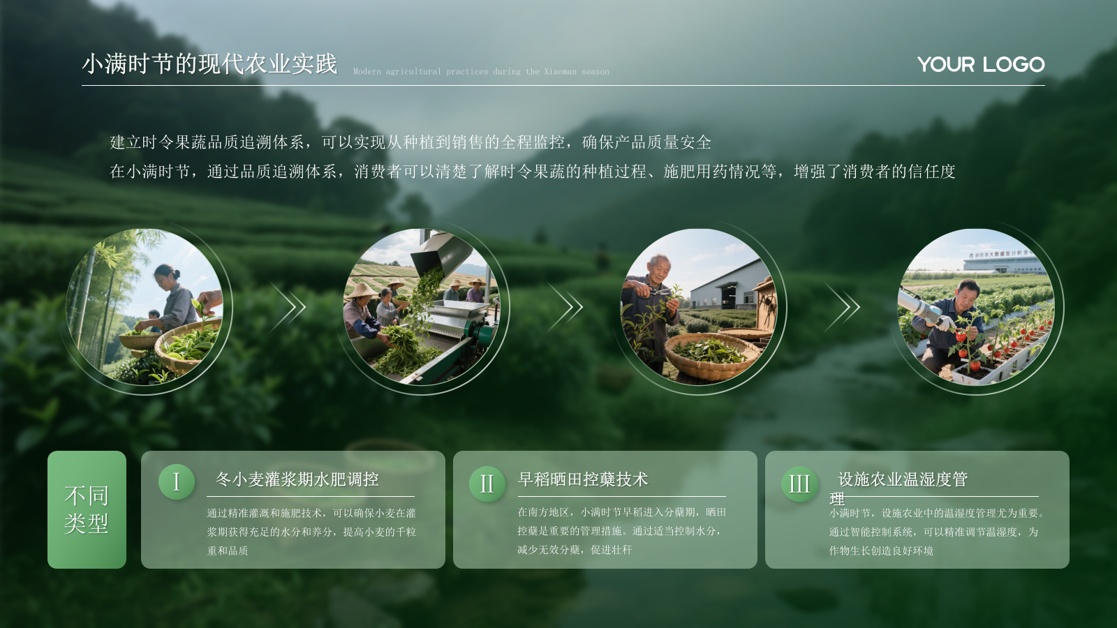 绿色小满节气的农业文化内涵PPT模板.pptx_第9页