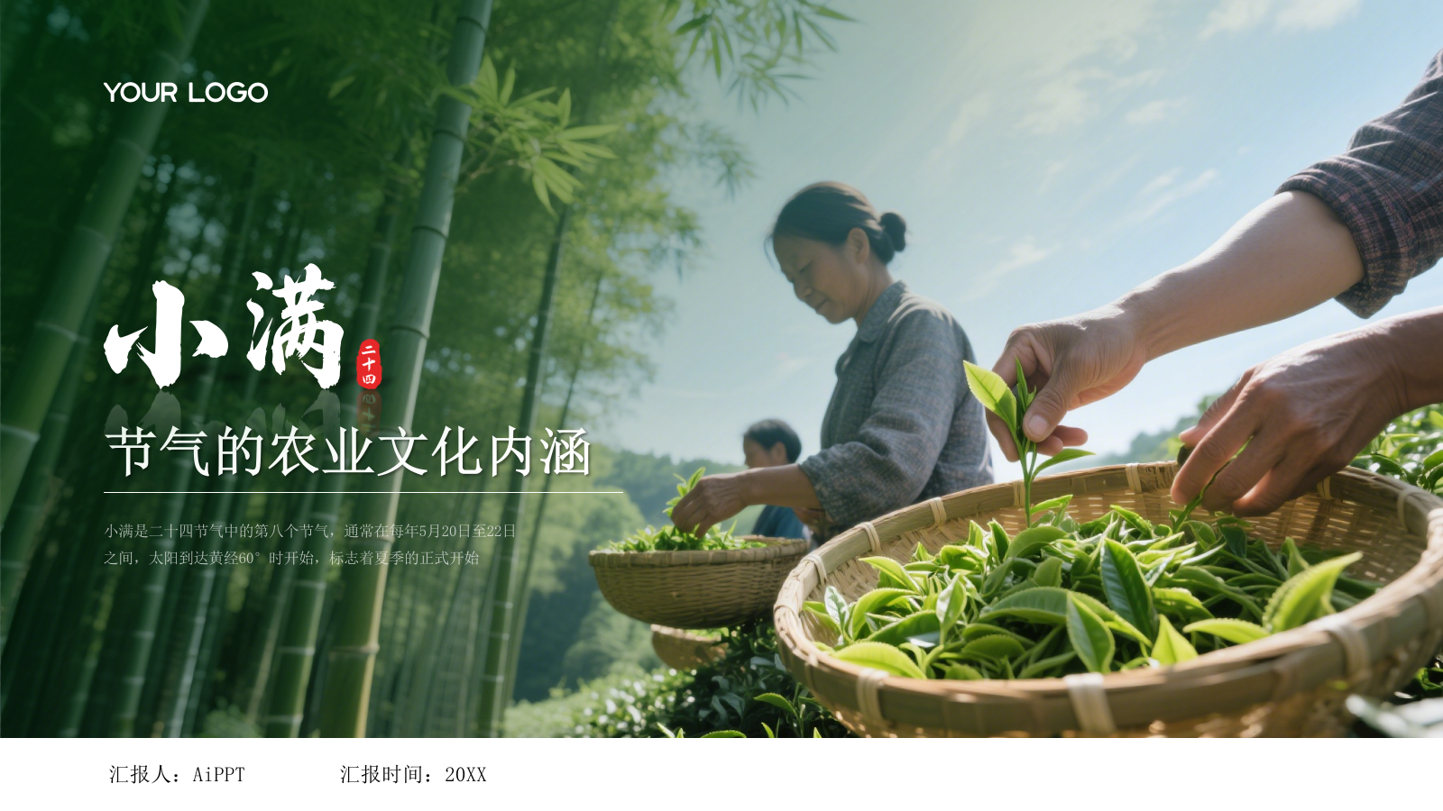 绿色小满节气的农业文化内涵PPT模板.pptx