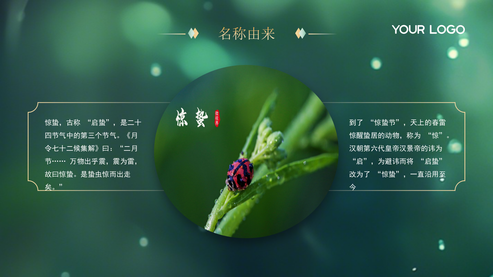 绿色中国节气之惊蛰PPT模版.pptx_第4页