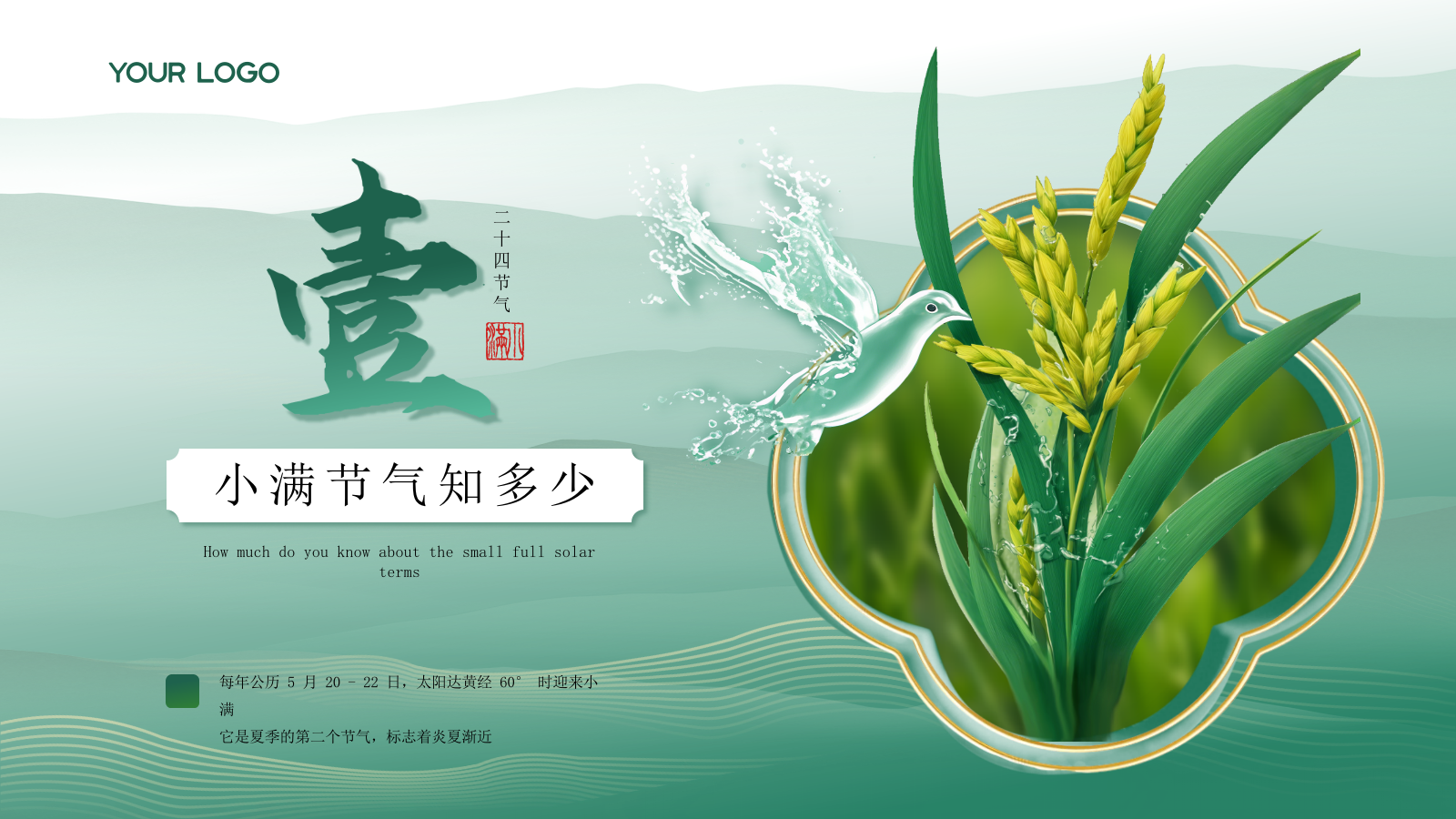 小满中国风教育教学通用模板PPT模板.pptx_第3页