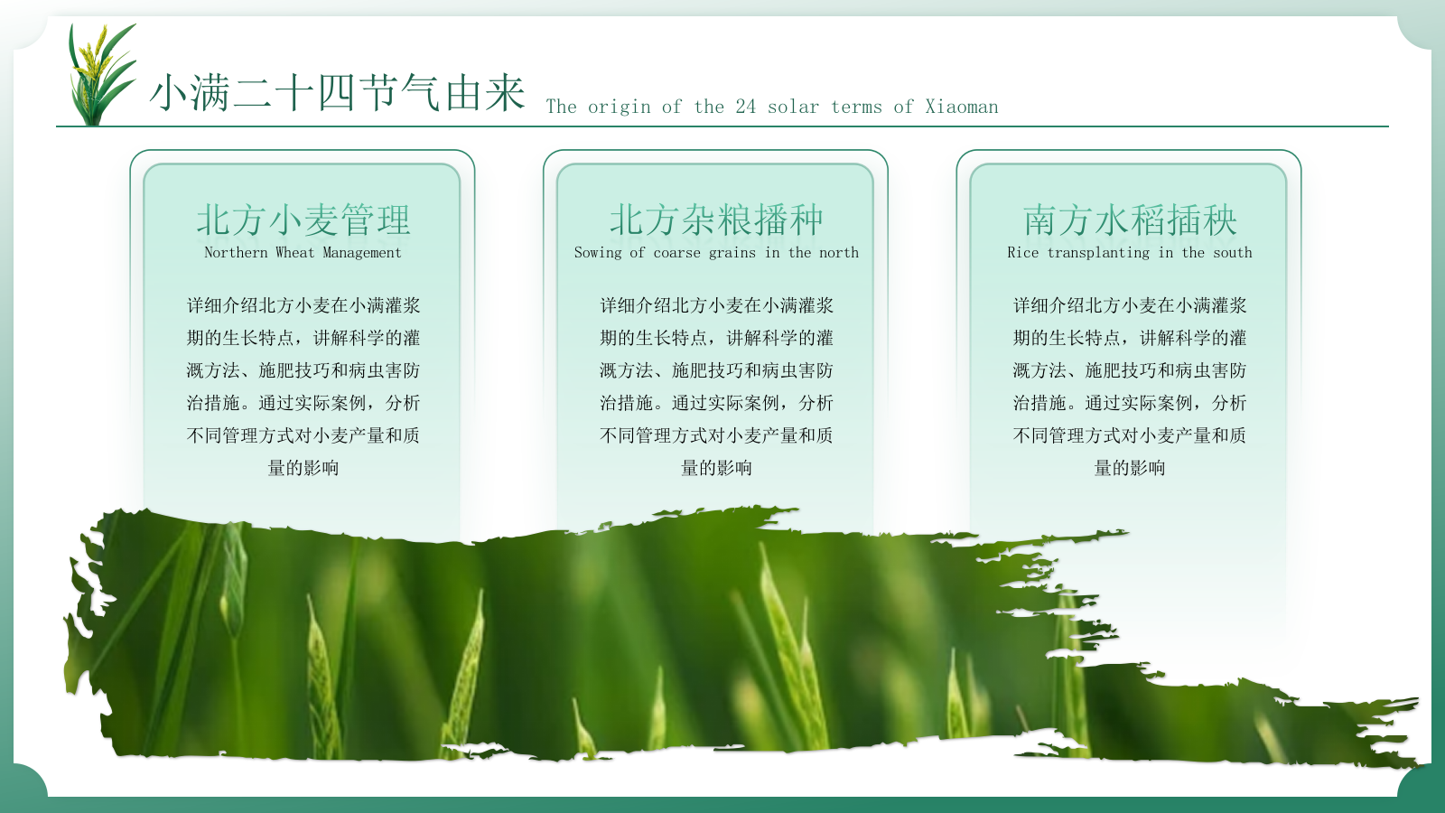 小满中国风教育教学通用模板PPT模板.pptx_第6页