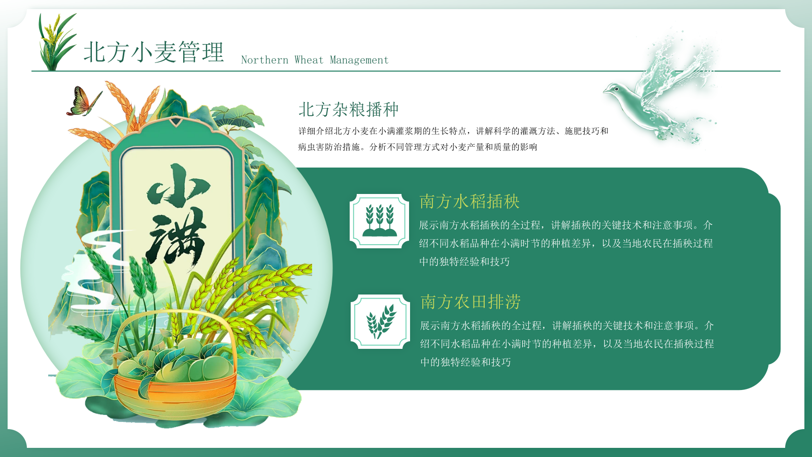 小满中国风教育教学通用模板PPT模板.pptx_第8页